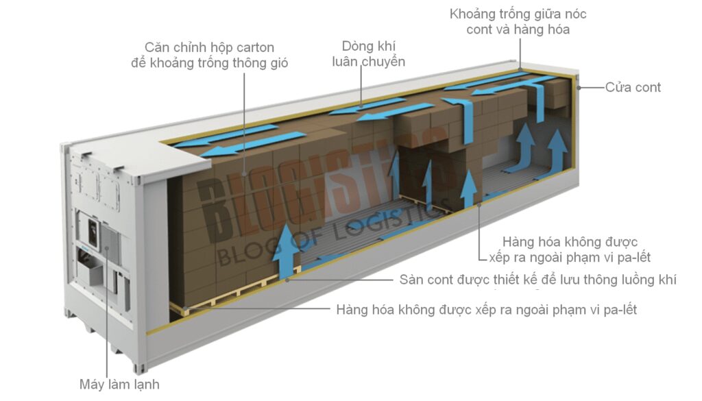 Cấu tạo Reefer container và cách xếp hàng trong cont.